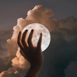 一级黄色毛片香蕉视频
